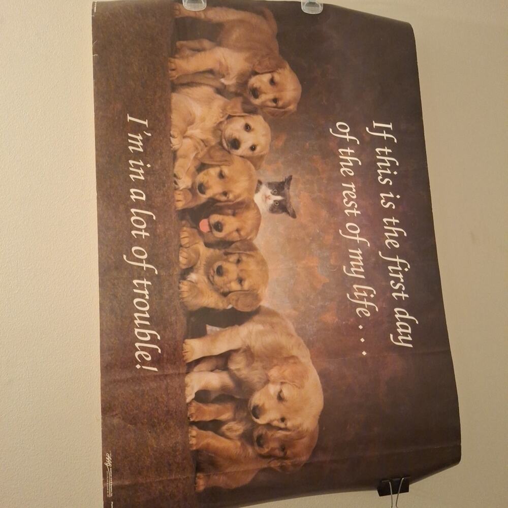 Cute Dogs And Cat Poster. PC0964 "Lot Of Trouble" 34x22 In.